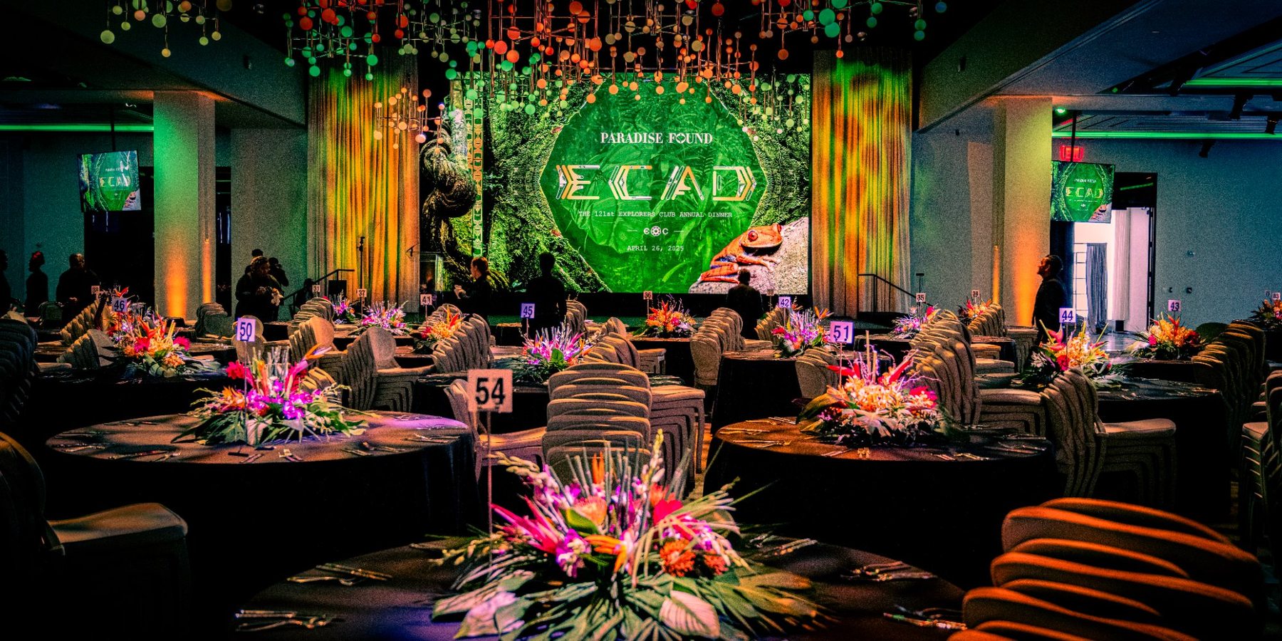 Social Media Management - Time Phantom Productions