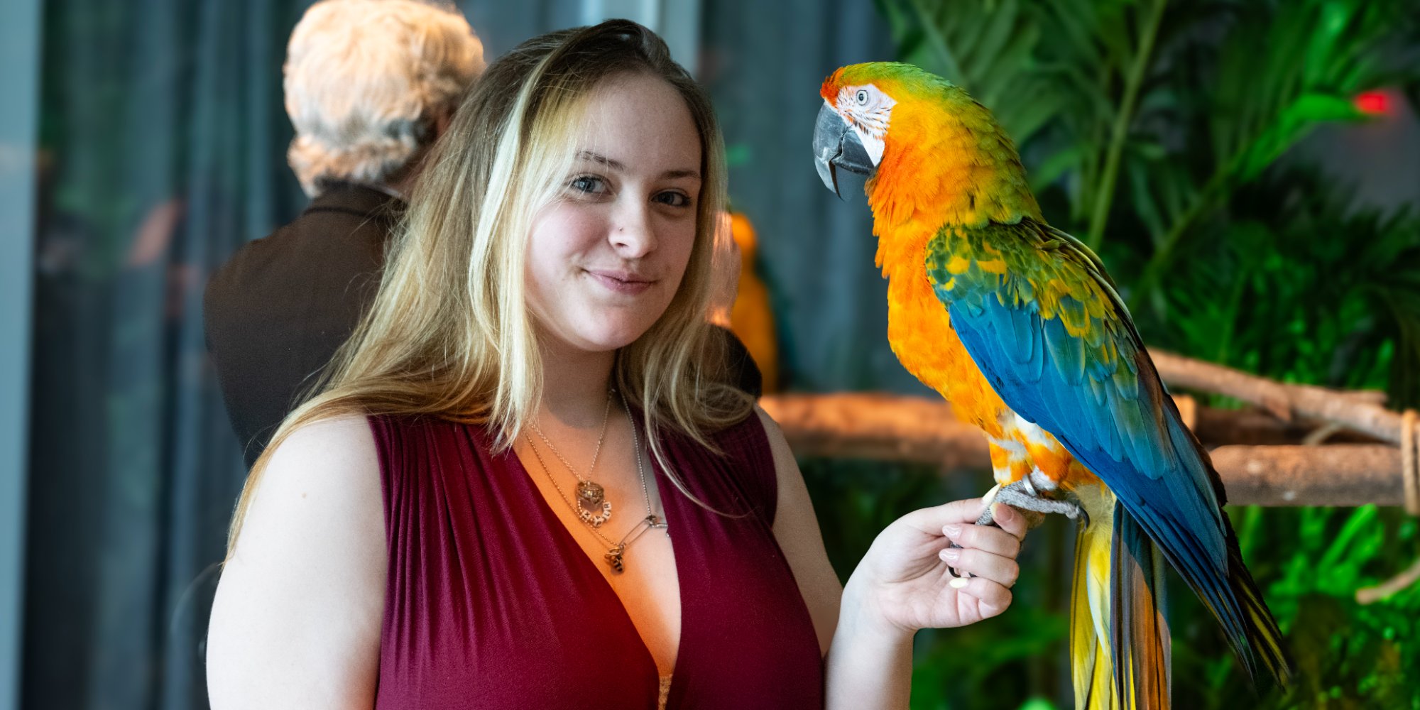 Rooftop Event — Exotic Birds - Time Phantom Productions