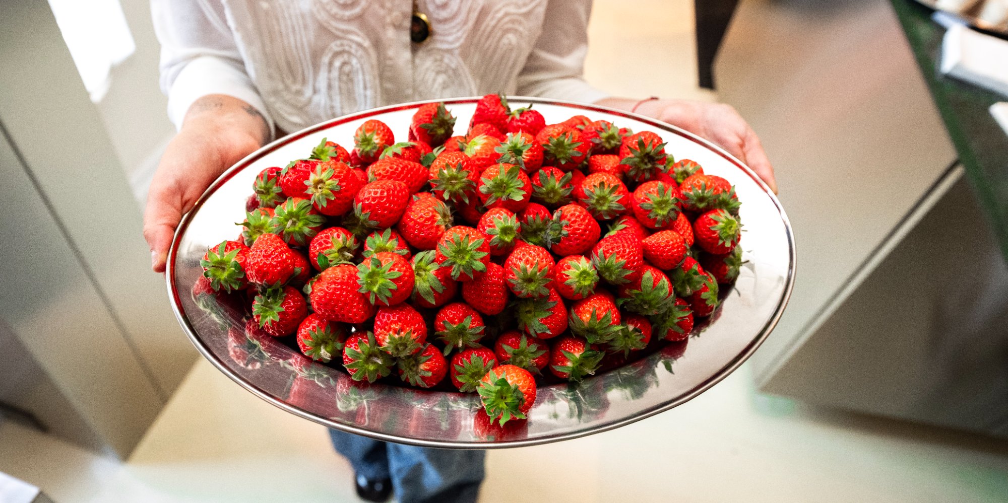 Oishii Strawberry Experience - Time Phantom Productions