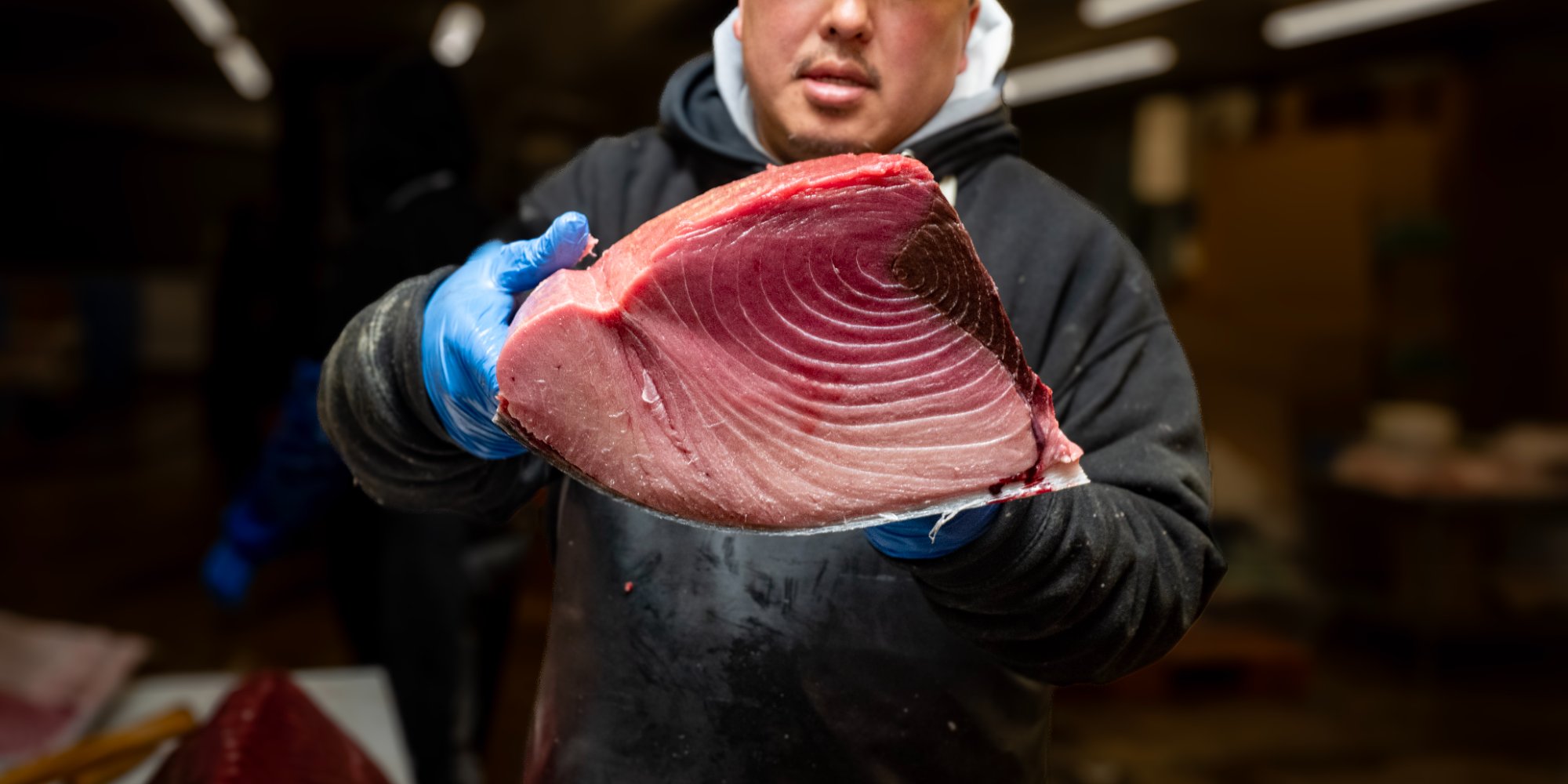 Bluefin Tuna Loin — Market Fresh - Time Phantom Productions