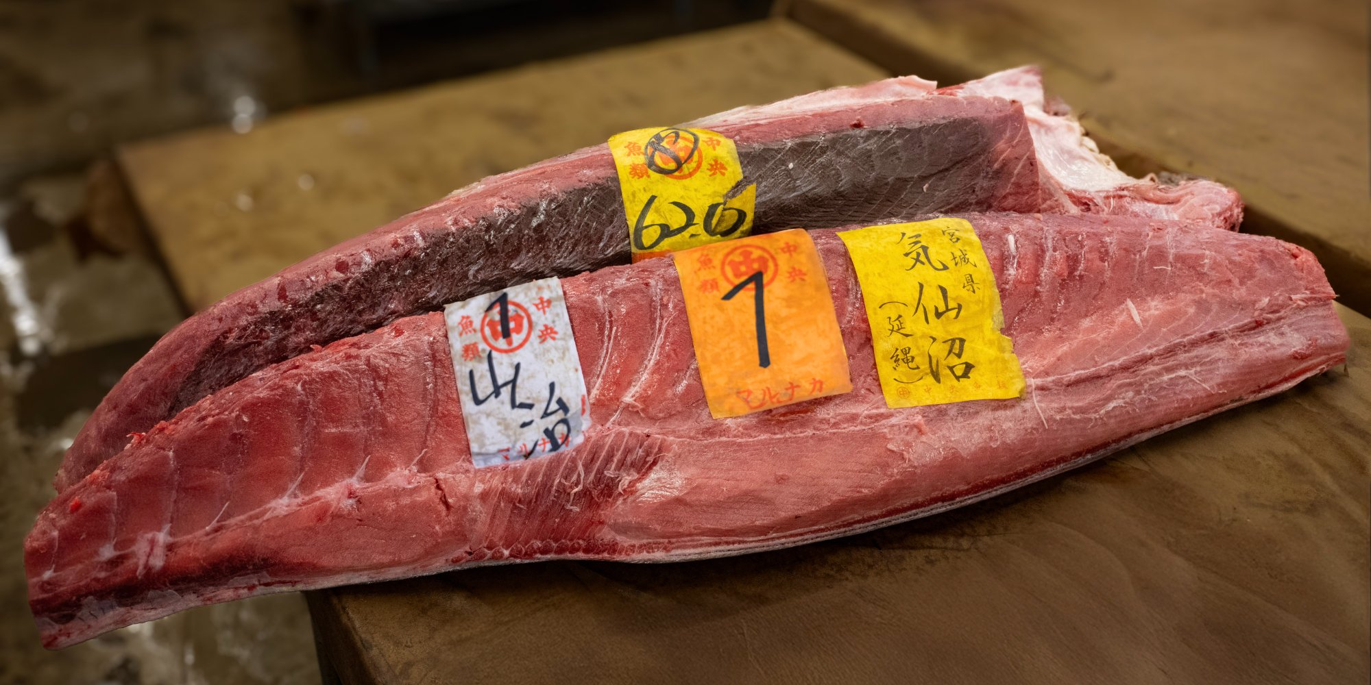 Bluefin Tuna — Japanese Market - Time Phantom Productions